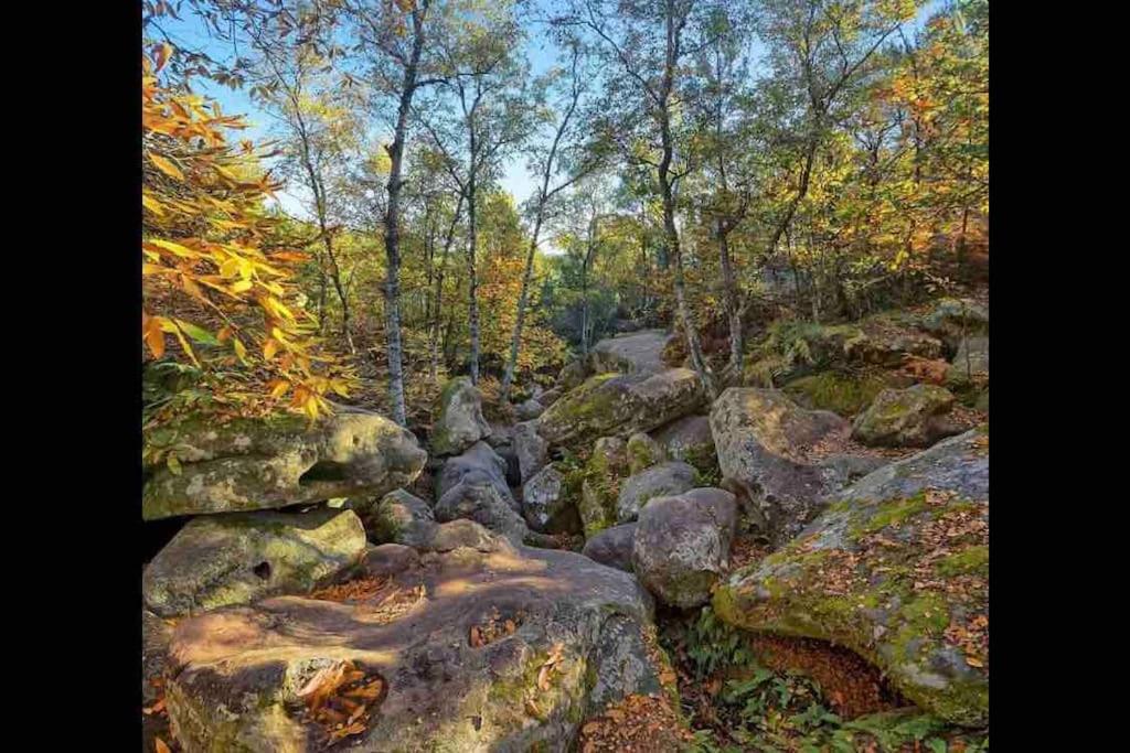 Milly COCOON / centre ville