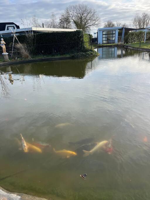 Luxus Chalet Waterfront