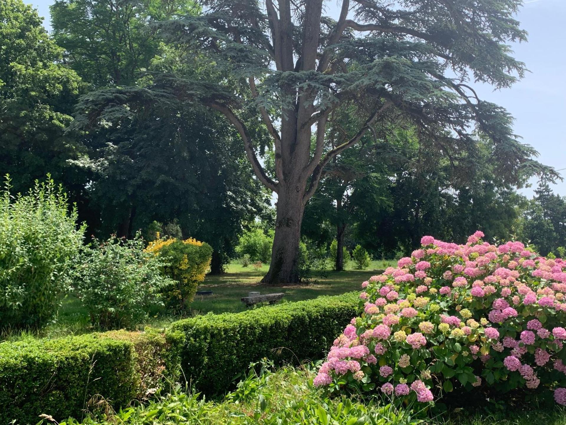 Chambre d'hotes et Table d'hotes Domaine de la terrasse SAS et Gite ANDA Montauban