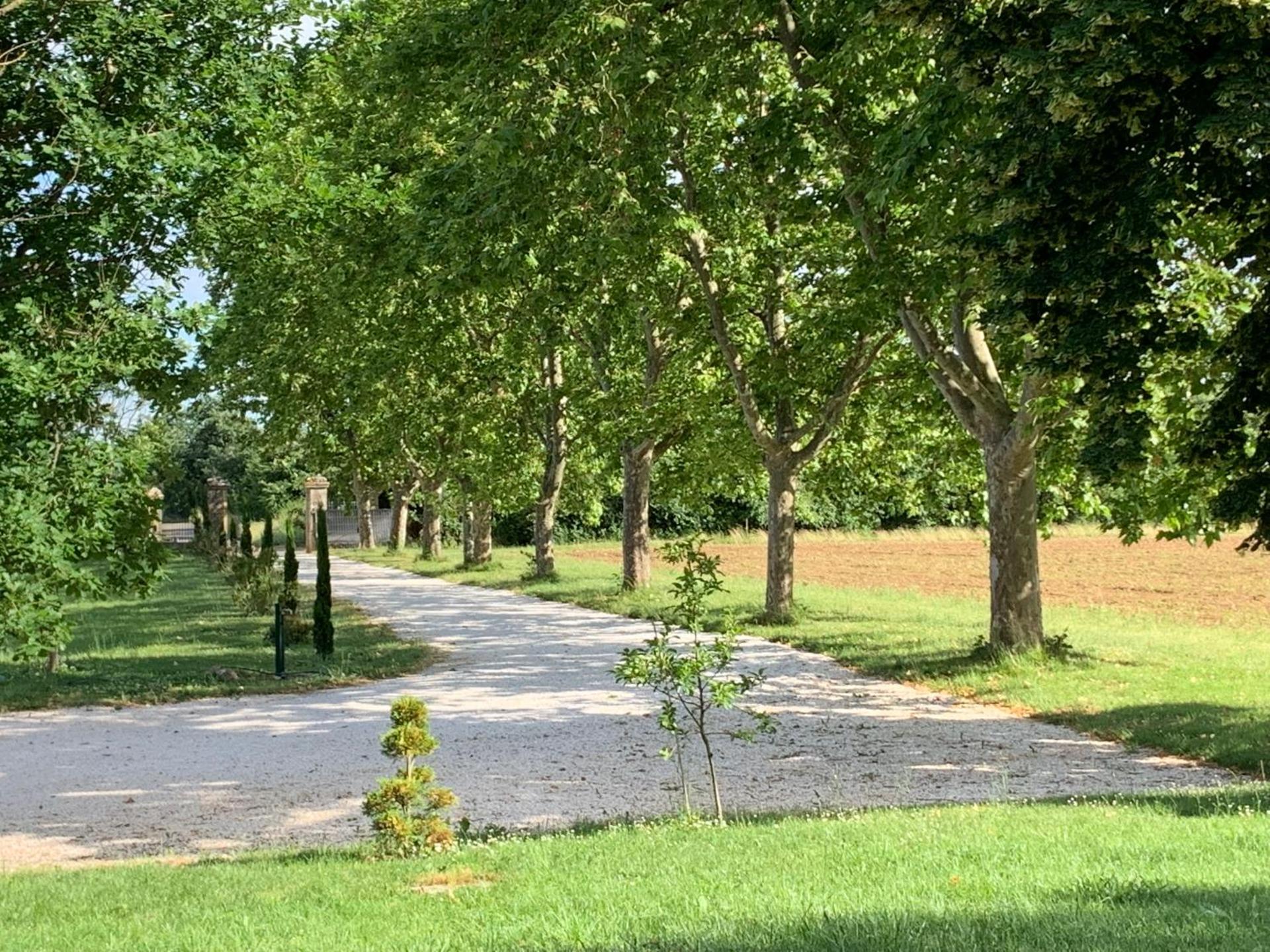 Chambre d'hotes et Table d'hotes Domaine de la terrasse SAS et Gite ANDA Montauban