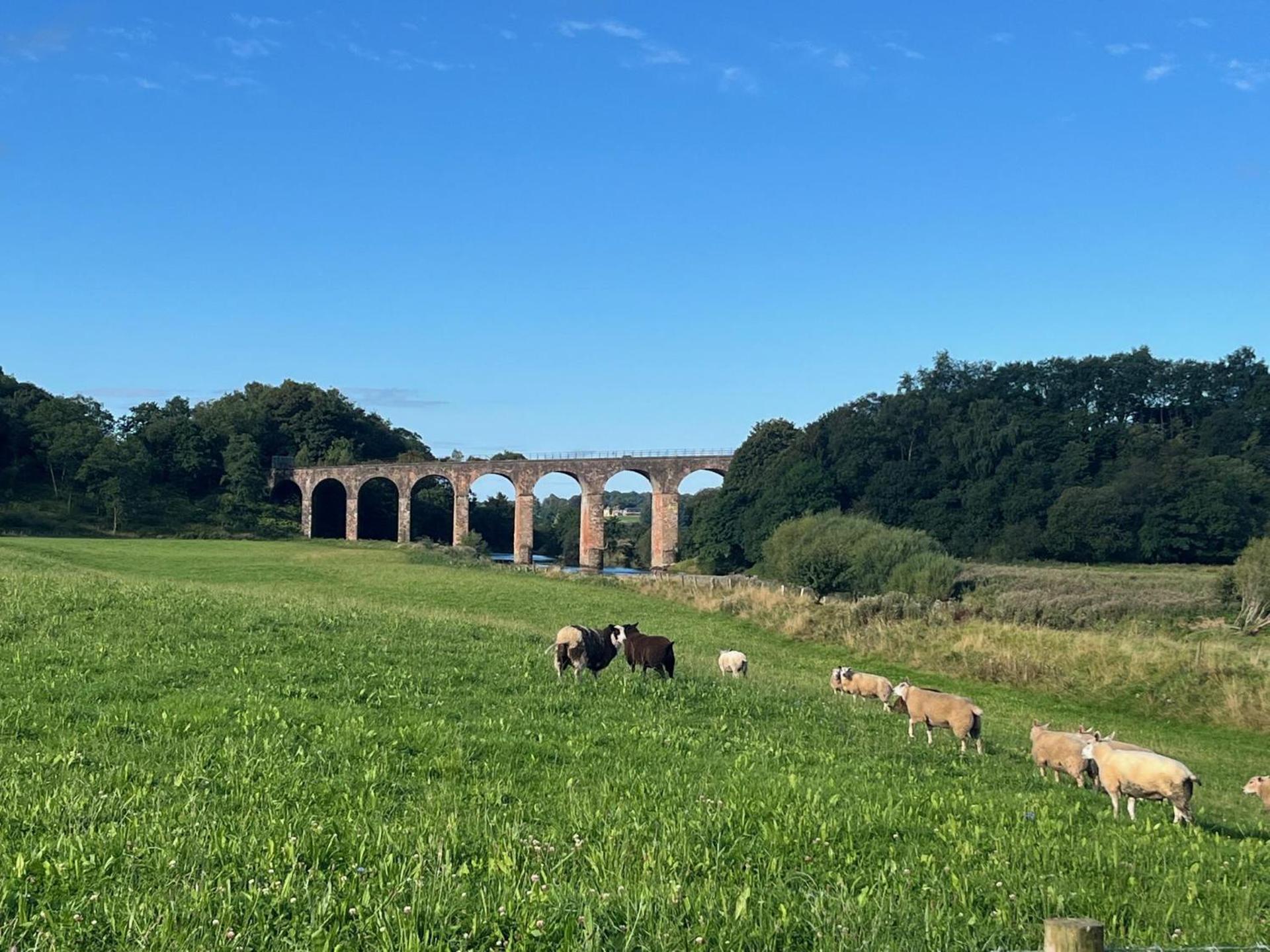 Cosy 2-Bed Cottage with Garden near Carlisle