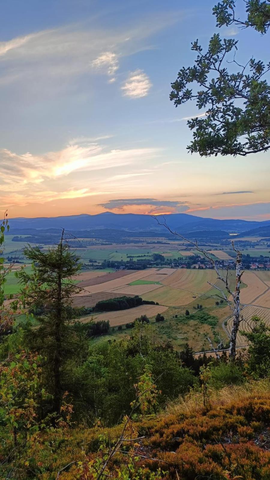 Pod klonem z Balią i Sauną