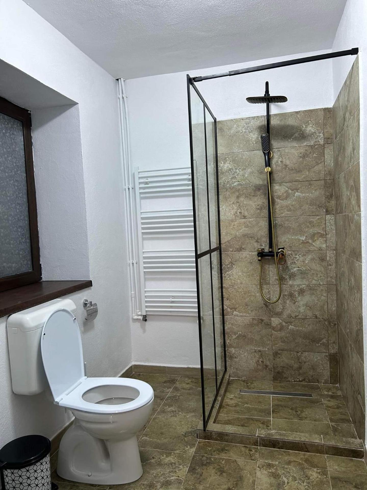 Vila AliBi Valiug - 200m from Ponton Casa Baraj