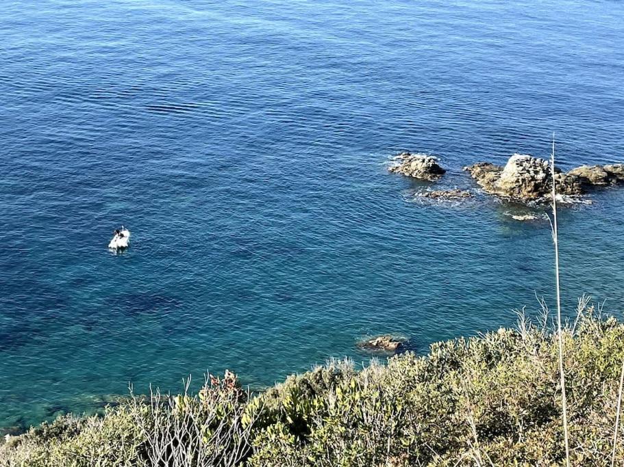 La Casina a Piombino, Appartamento moderno vicino al mare, pet friendly