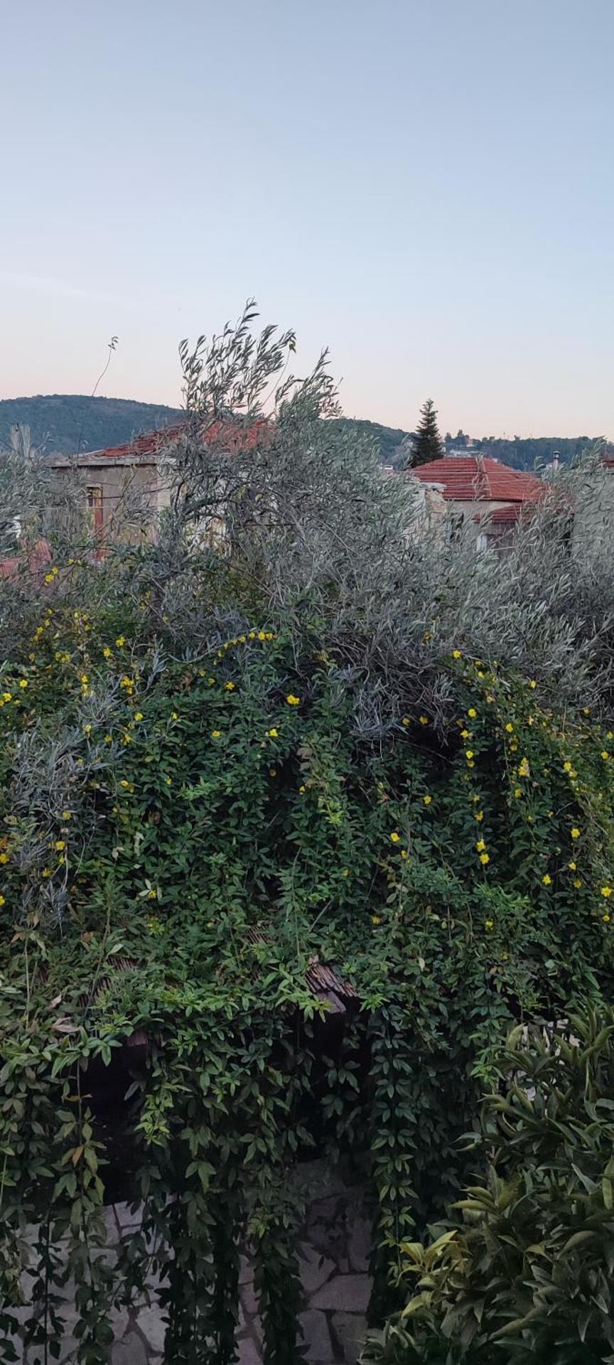 Inner courtyard view