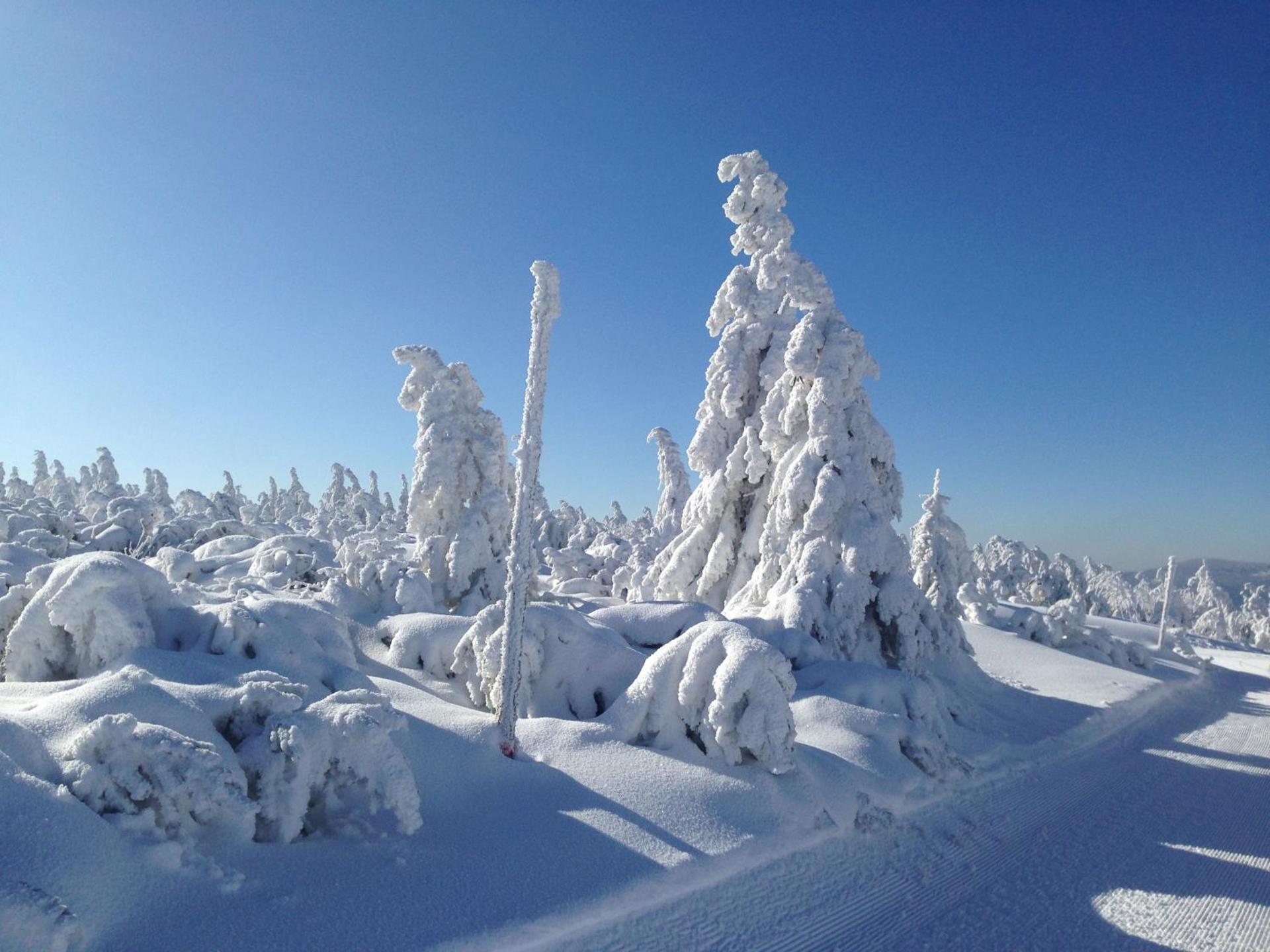 Penzion Modrý Pavilon