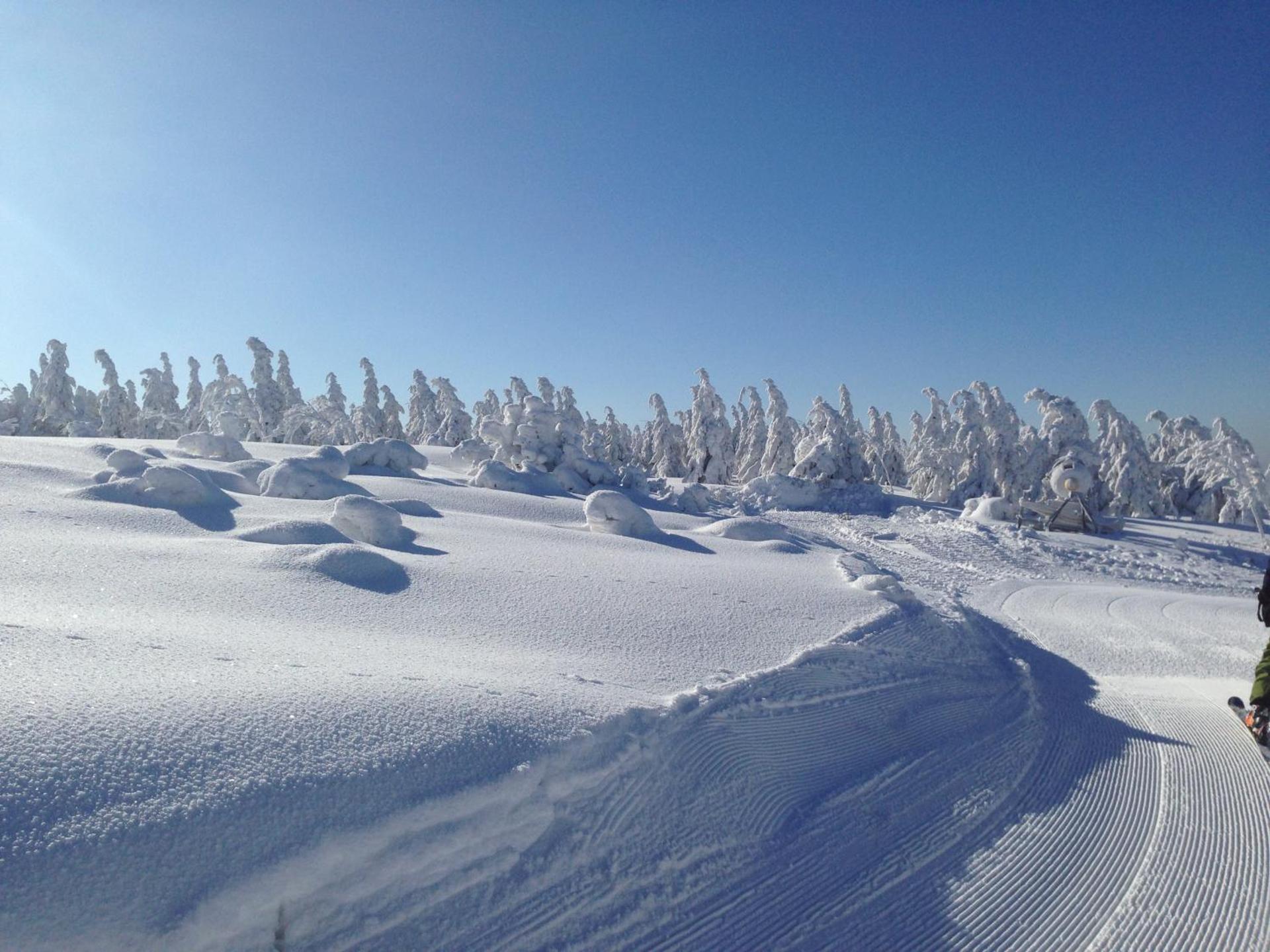 Penzion Modrý Pavilon