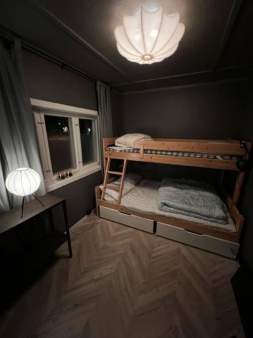 Skogro ved Norefjell