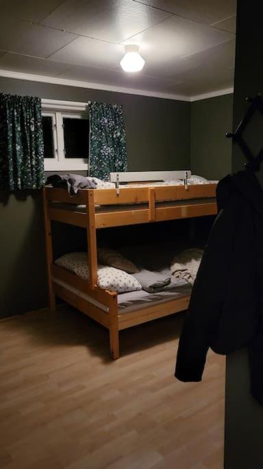 Skogro ved Norefjell