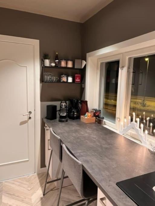 Skogro ved Norefjell