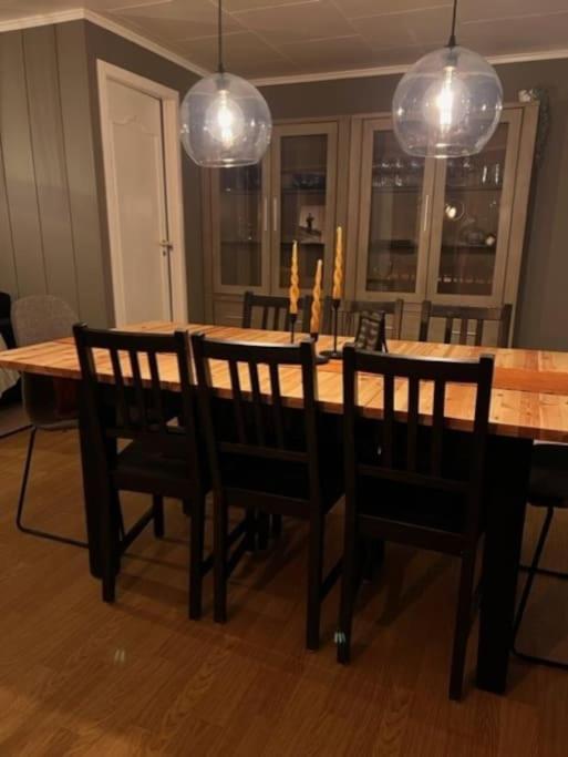 Skogro ved Norefjell