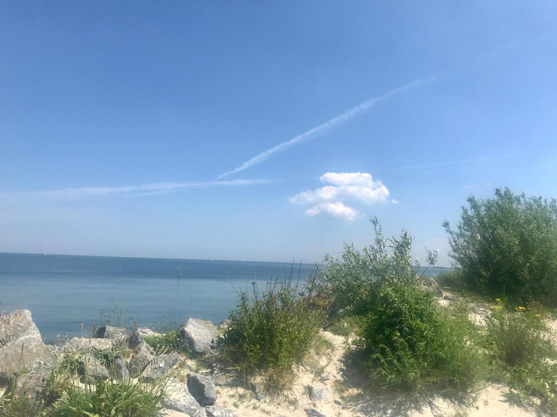 Landelijk gelegen houten huisje