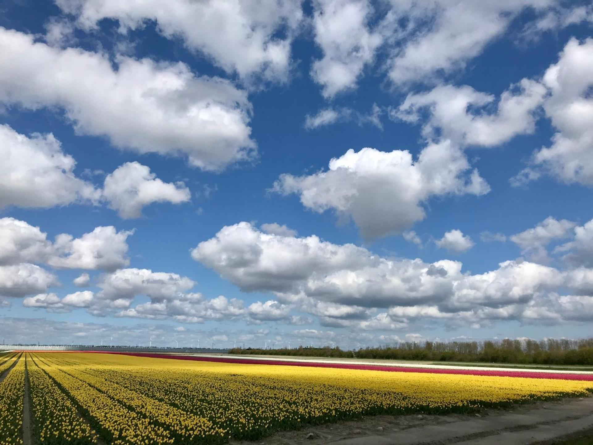 Landelijk gelegen houten huisje