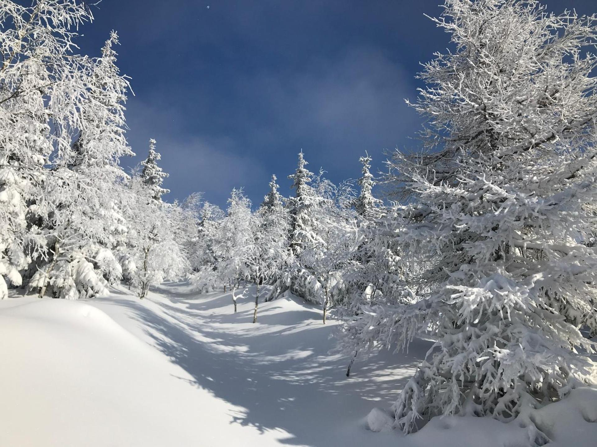 Penzion Modrý Pavilon