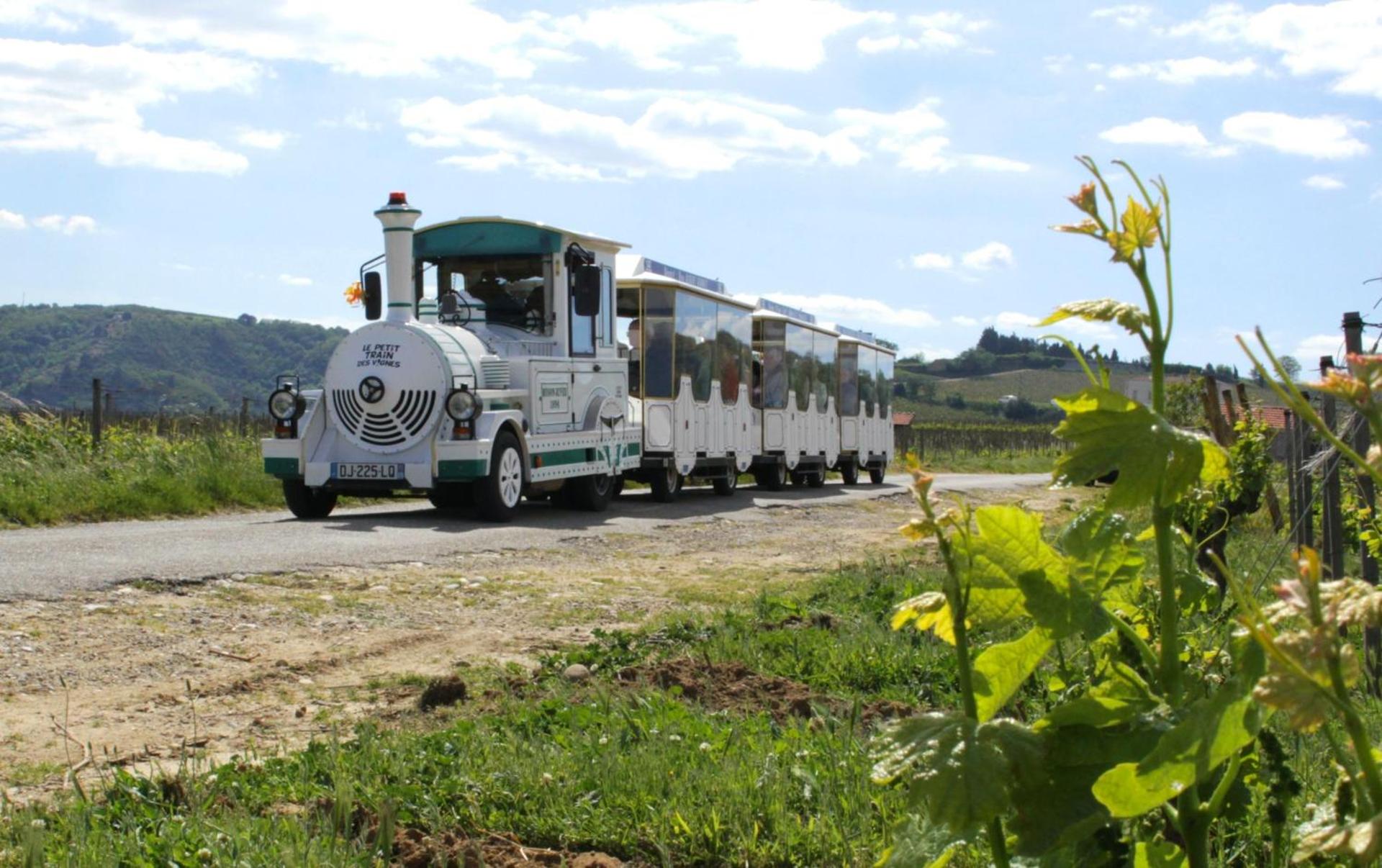 La Maison de ma Mère - Vue sur le Vignoble Saint-Joseph