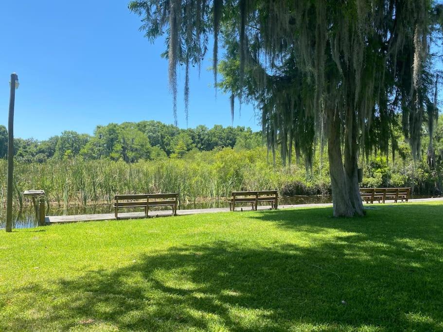 Professor Rousseau's Manatee Bay