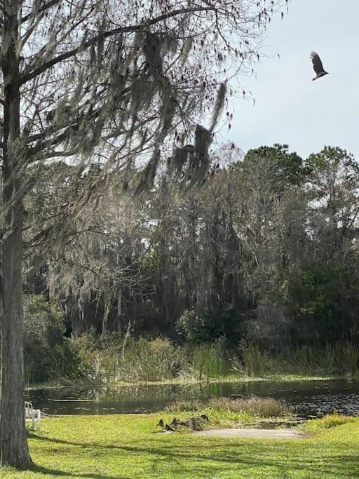 Professor Rousseau's Manatee Bay