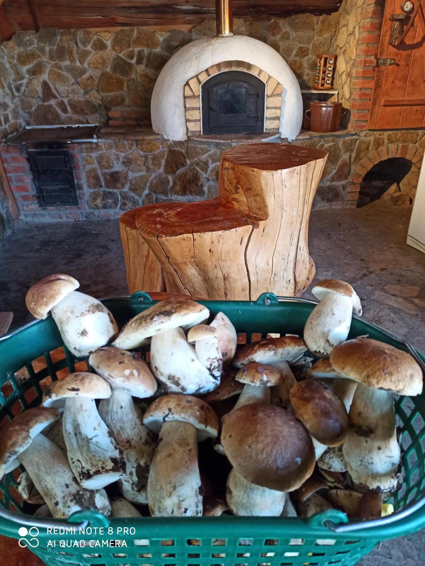 Bieszczadzki Szeryf 660-492-682