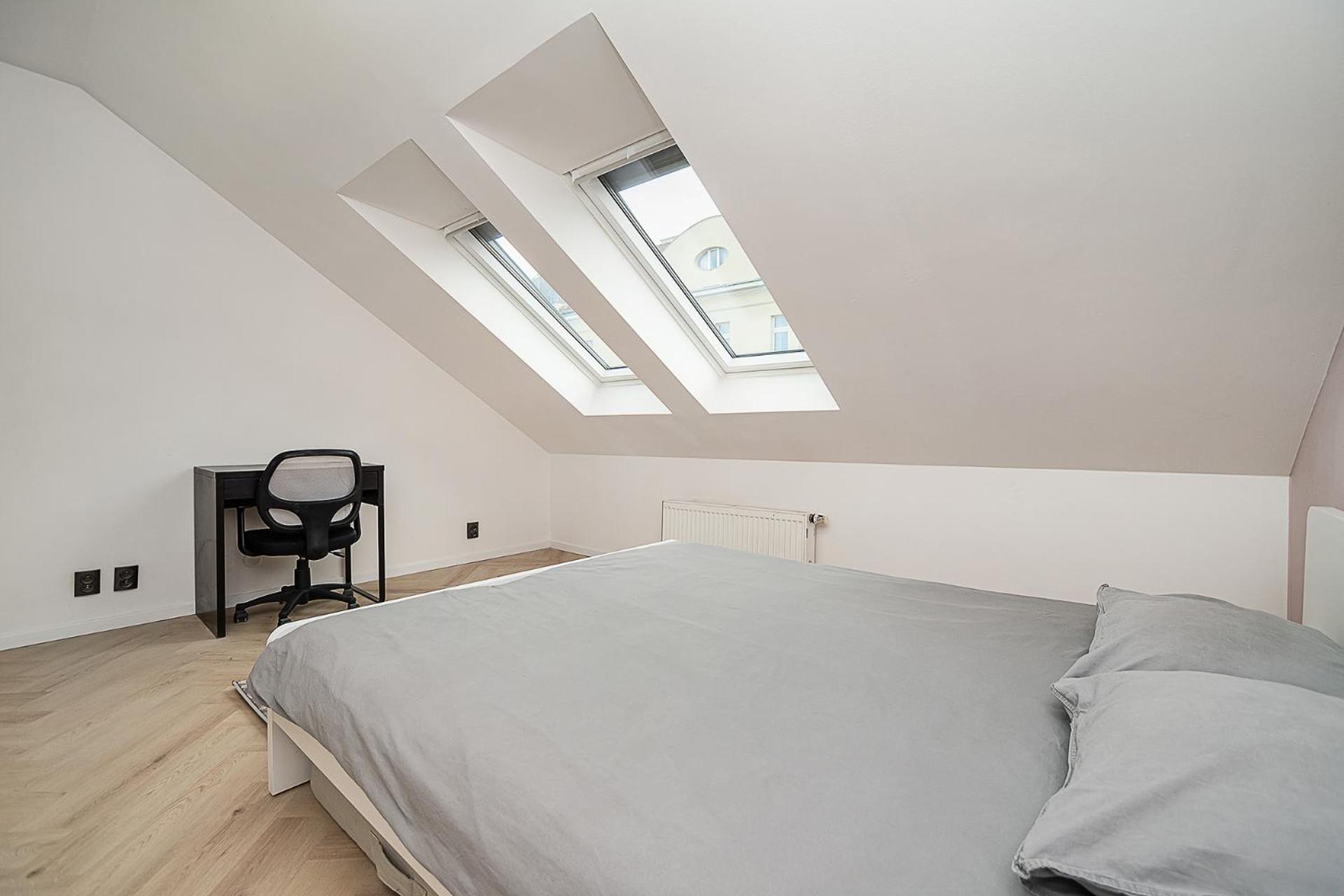 Big 4-bedroom flat, terrace with great Vítkov view