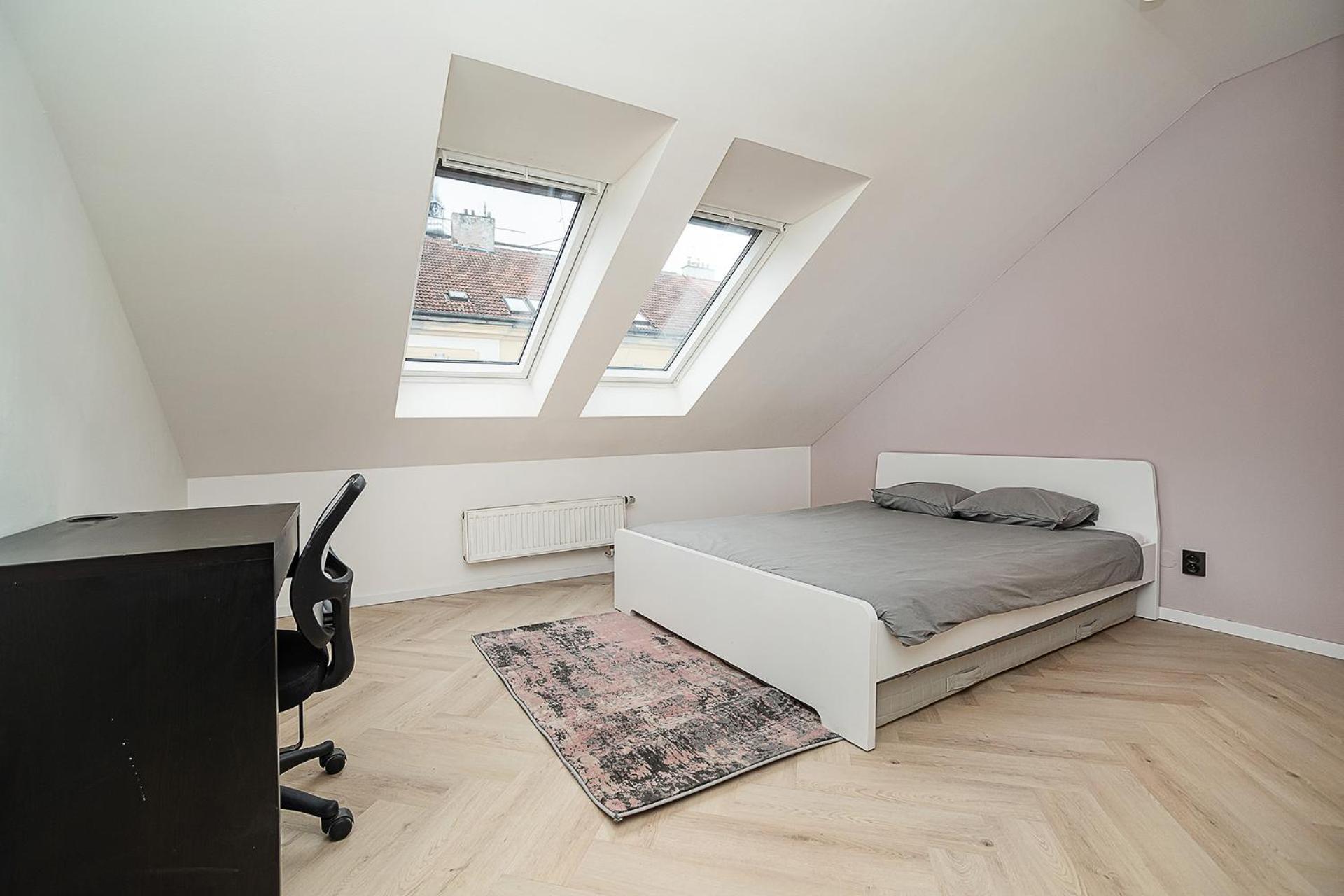 Big 4-bedroom flat, terrace with great Vítkov view