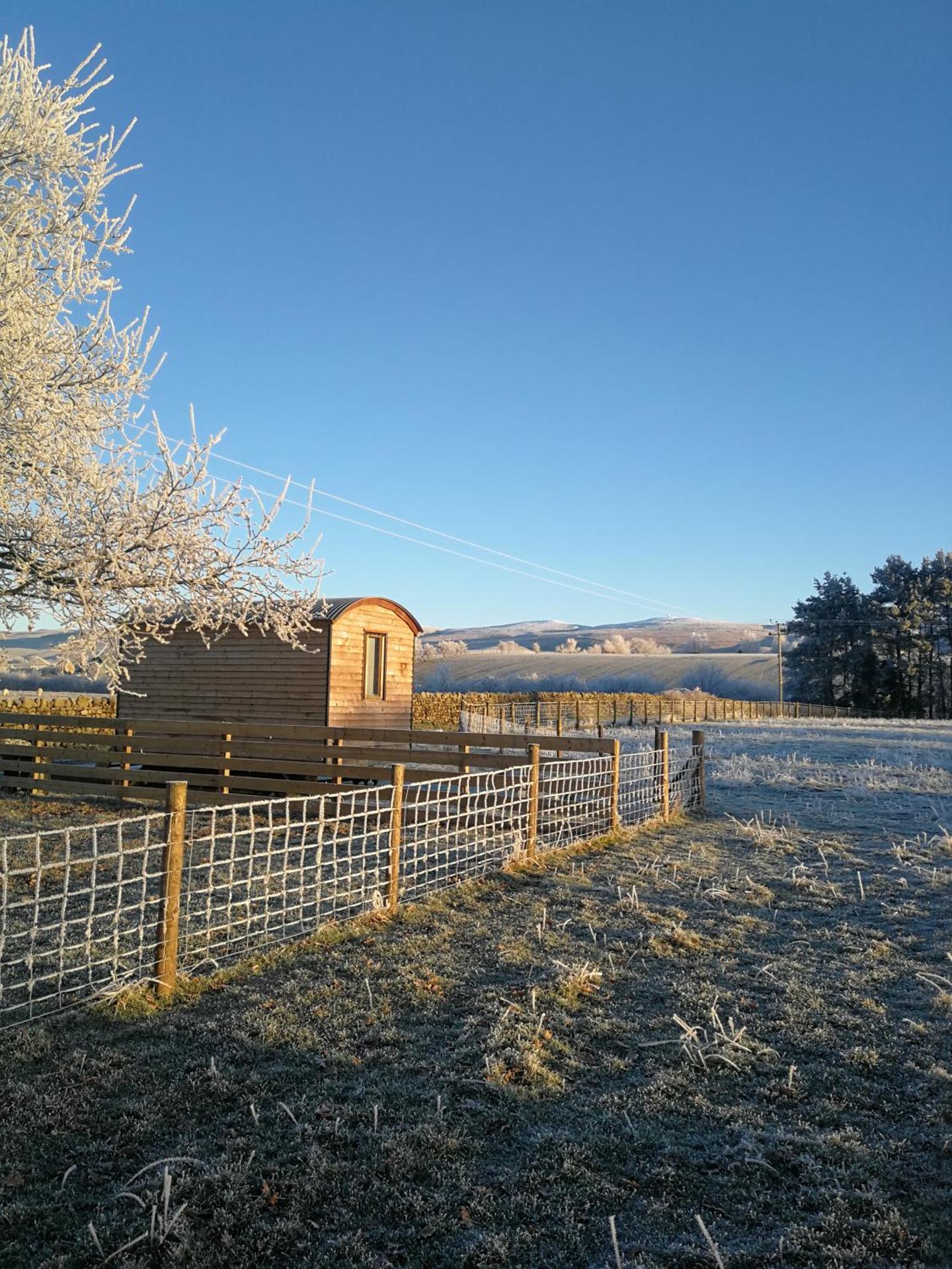 Sunny Mount Shepherd's Hut