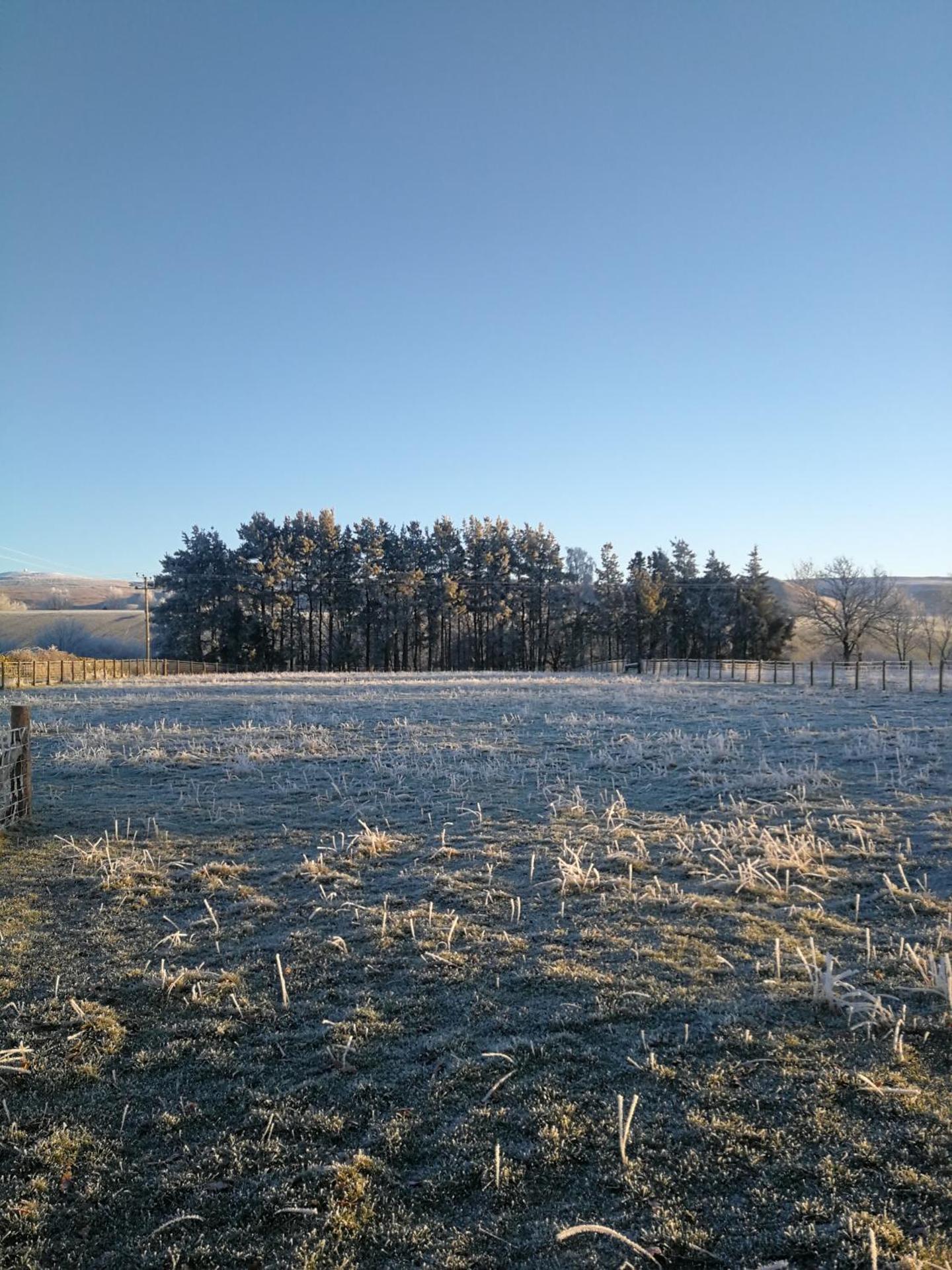 Sunny Mount Shepherd's Hut