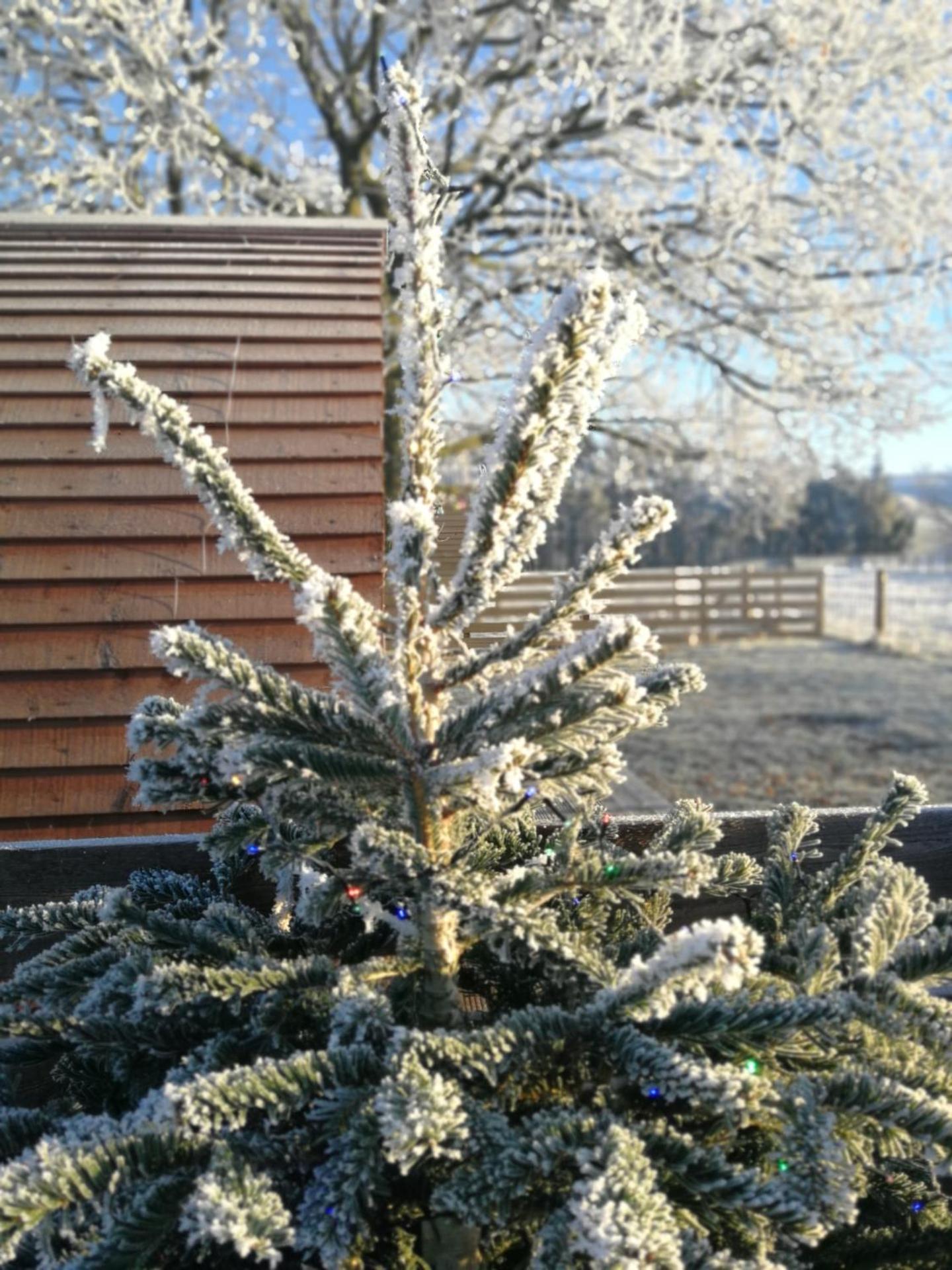 Sunny Mount Glamping Pod