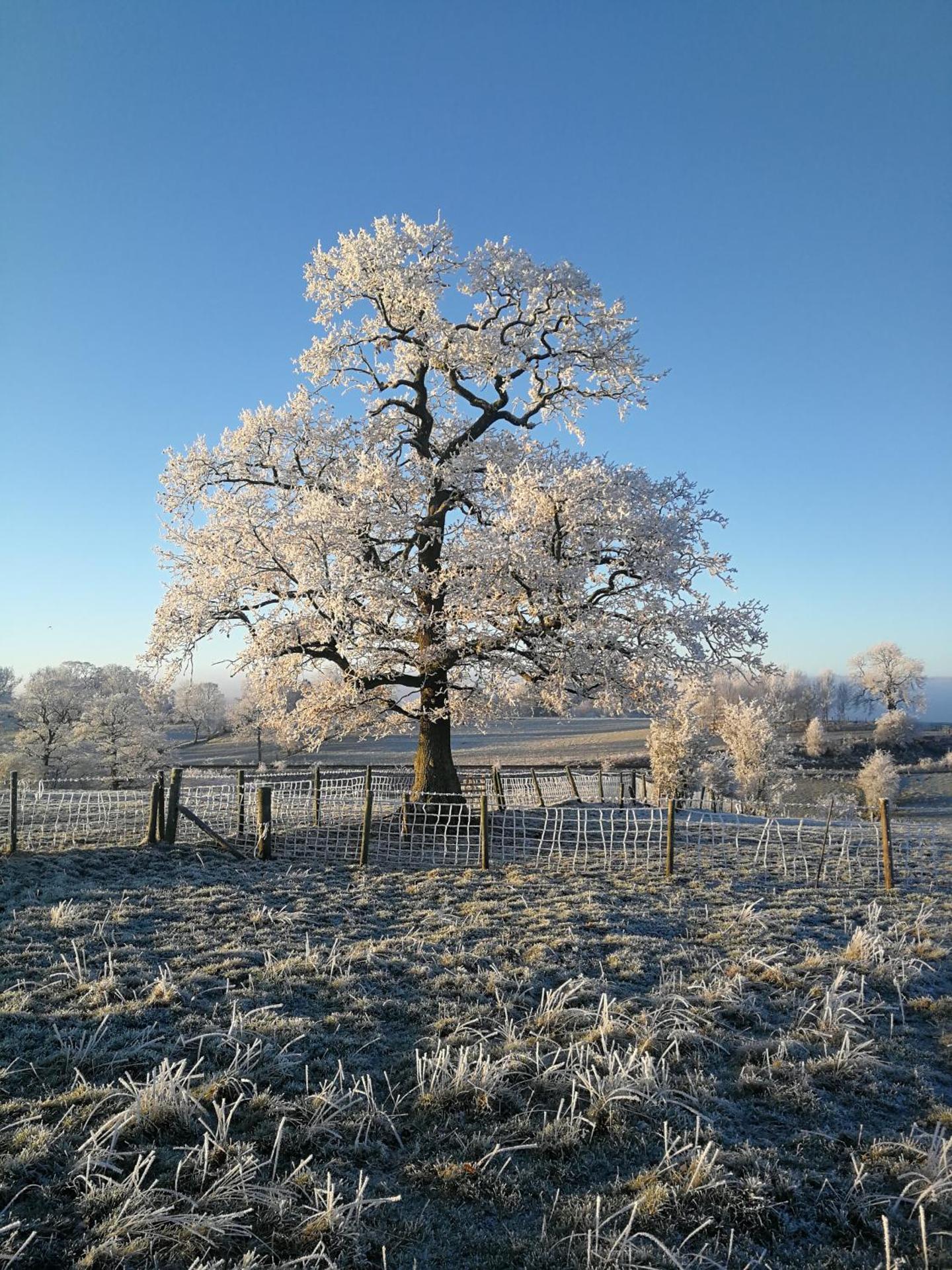 Sunny Mount Glamping Pod