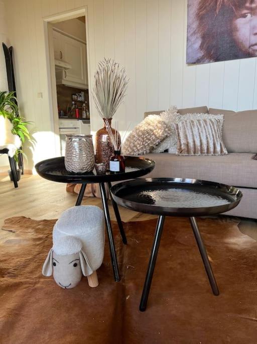 Cabane La Folie Douce