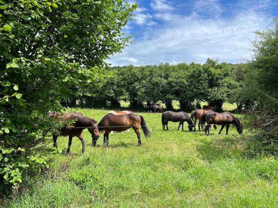Cabane La Folie Douce