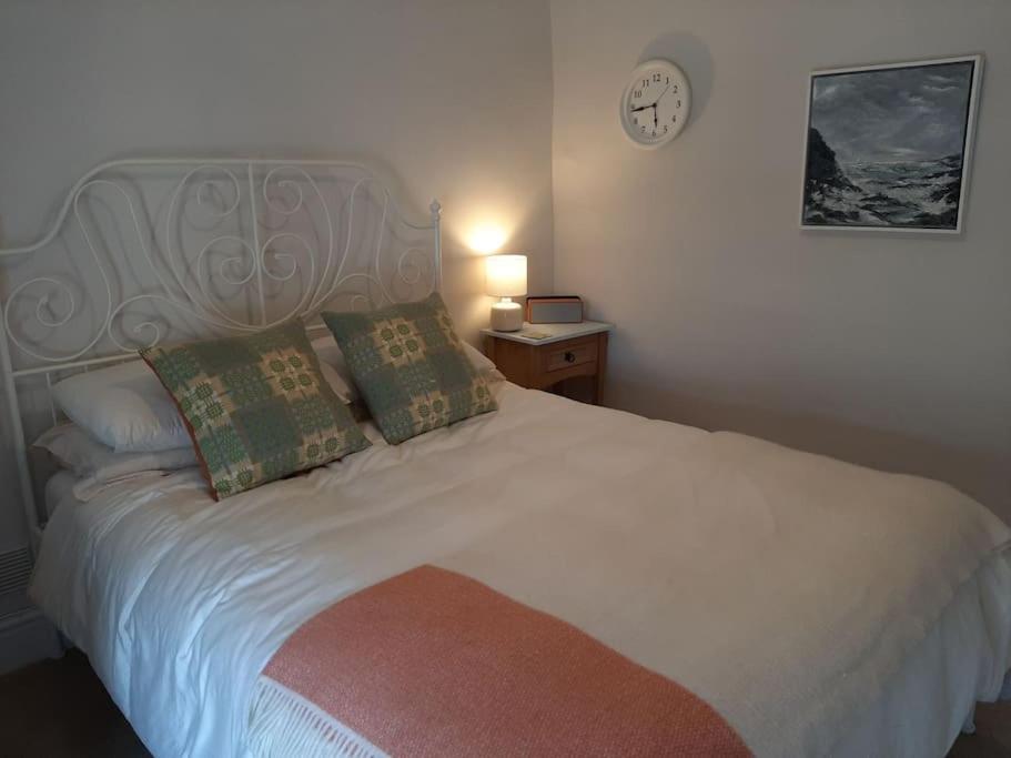 Selah Teifi spectacular river view with games room