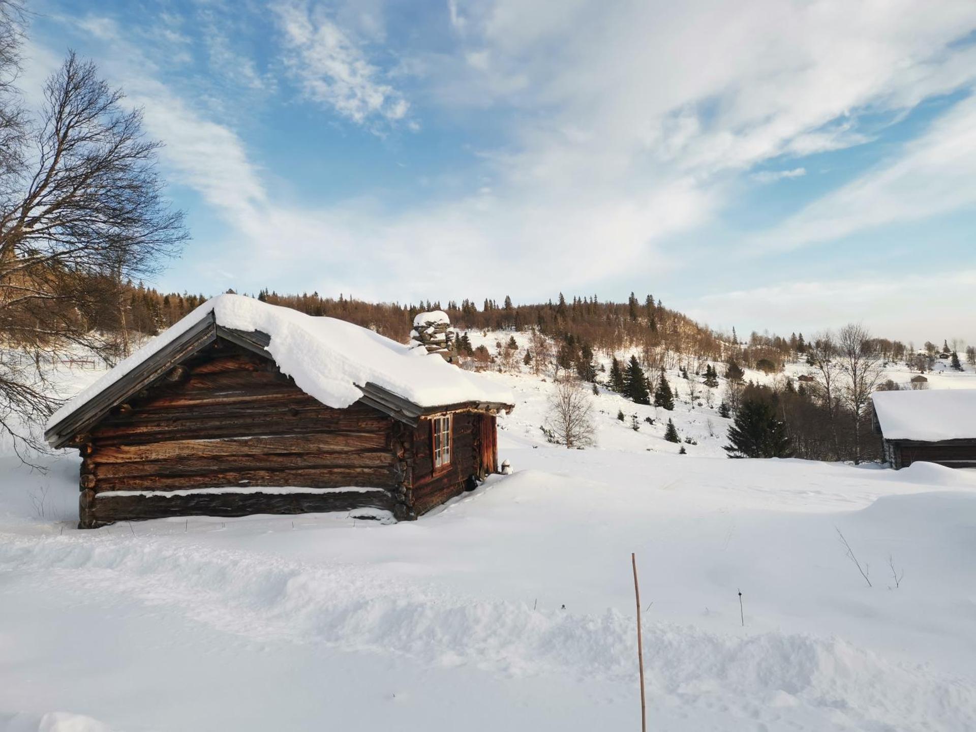 Flott hytte sentralt i Hallingdal