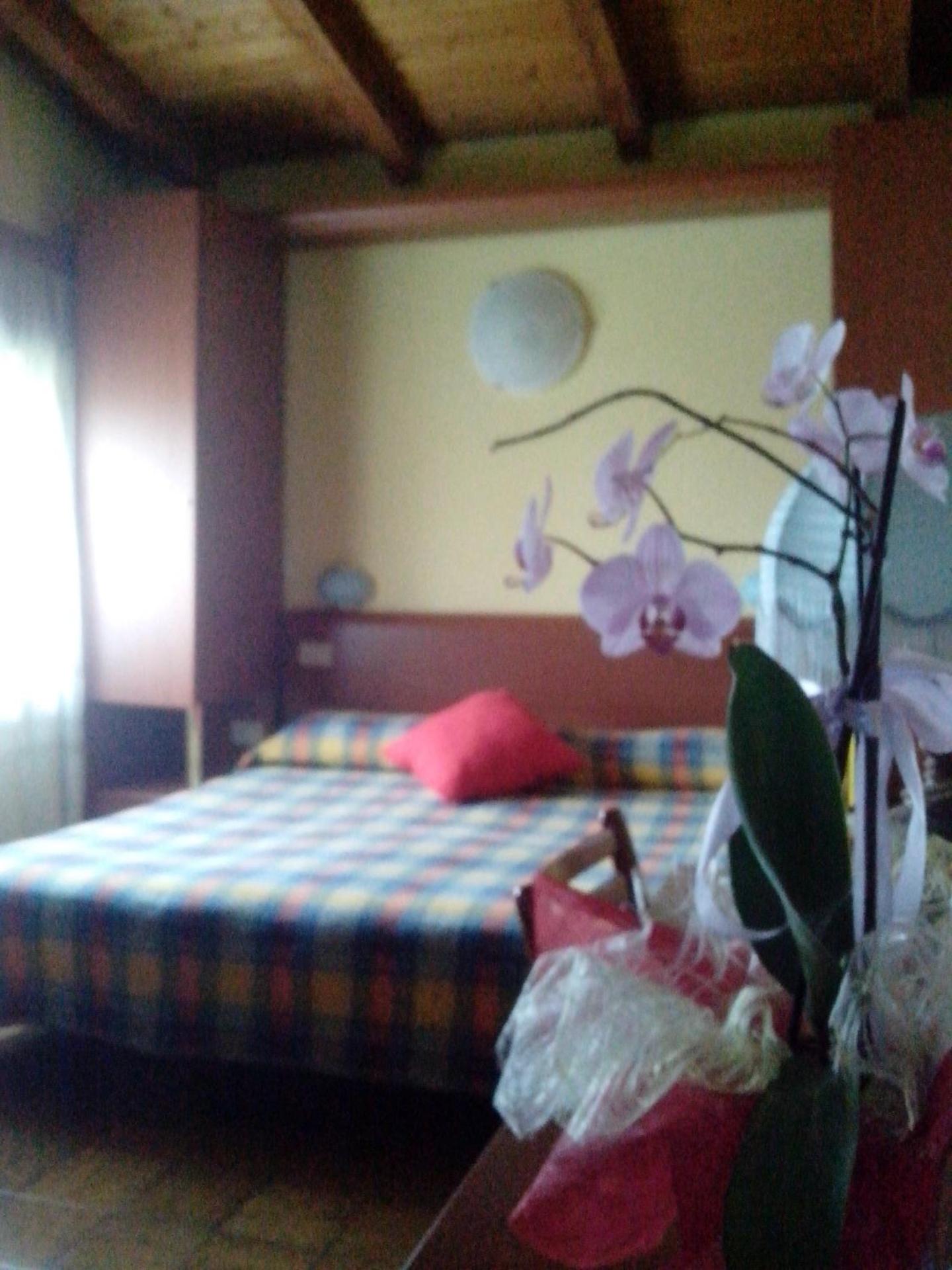 Economy Quadruple Room