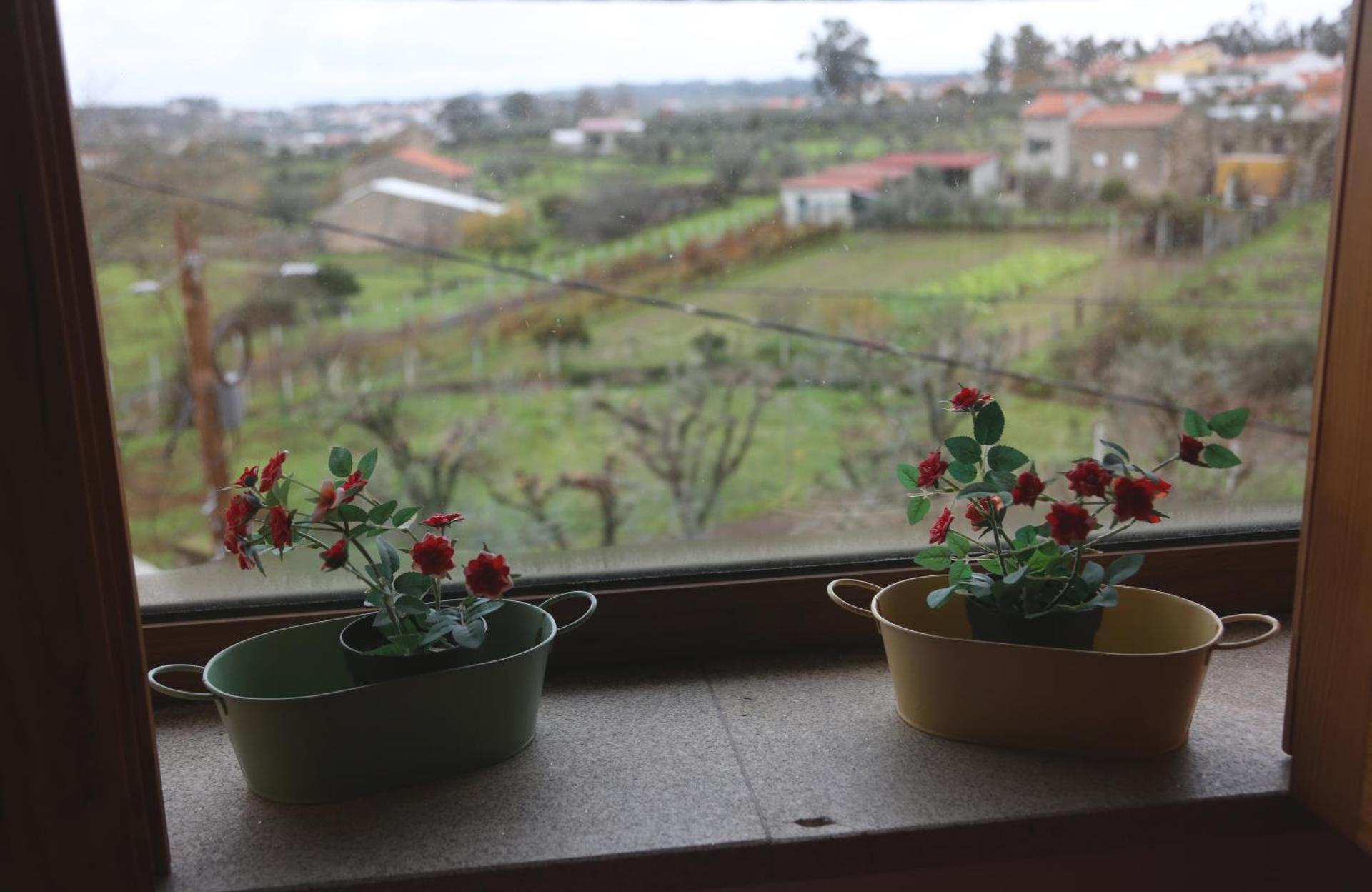 Casa d'Avó Serra da Estrela