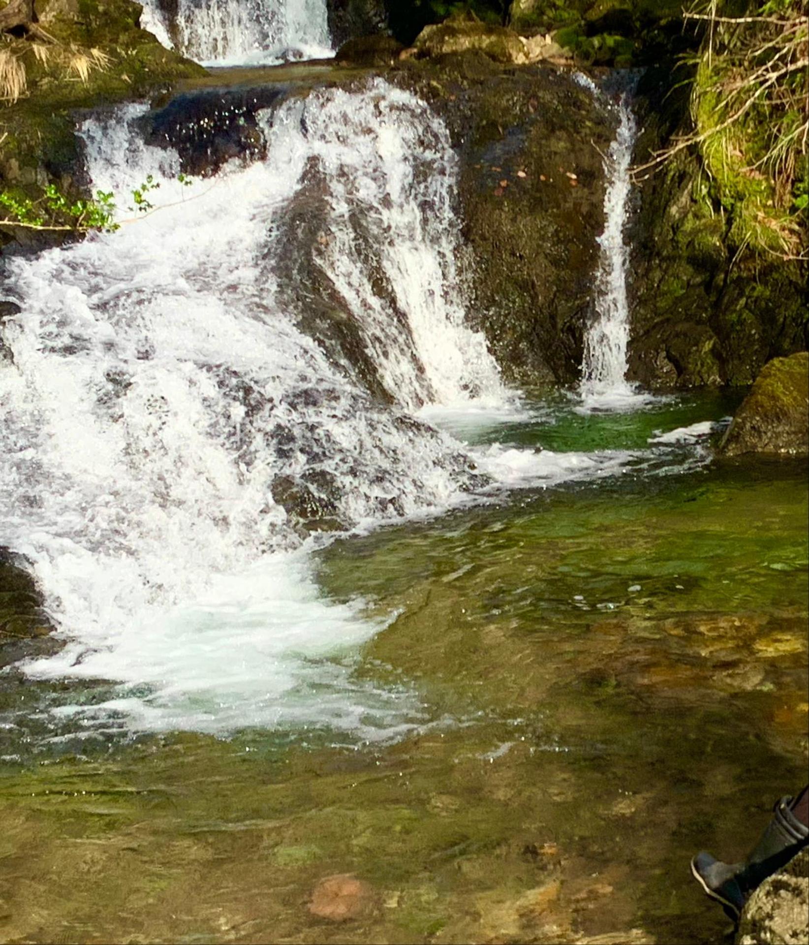 Linnhe Apartment, Kinlochlaich House