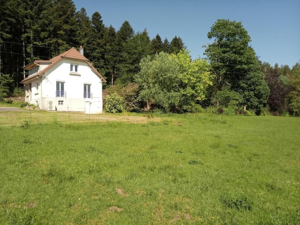 Vosges house 110 m2 in the heart of nature L'orée du bois