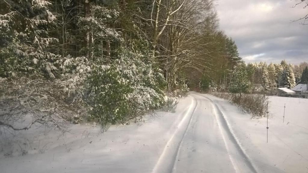 Vosges house 110 m2 in the heart of nature L'orée du bois