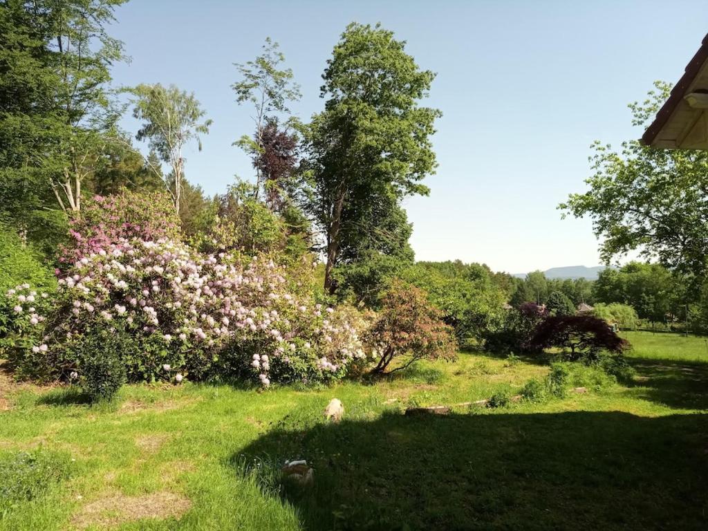 Vosges house 110 m2 in the heart of nature L'orée du bois