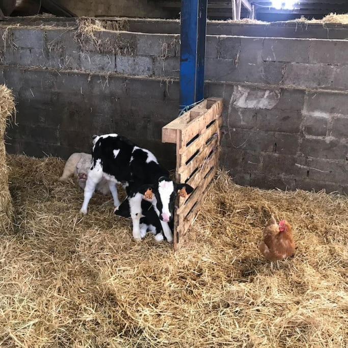 1833 Ardennes farm between Bastogne and Houffalize