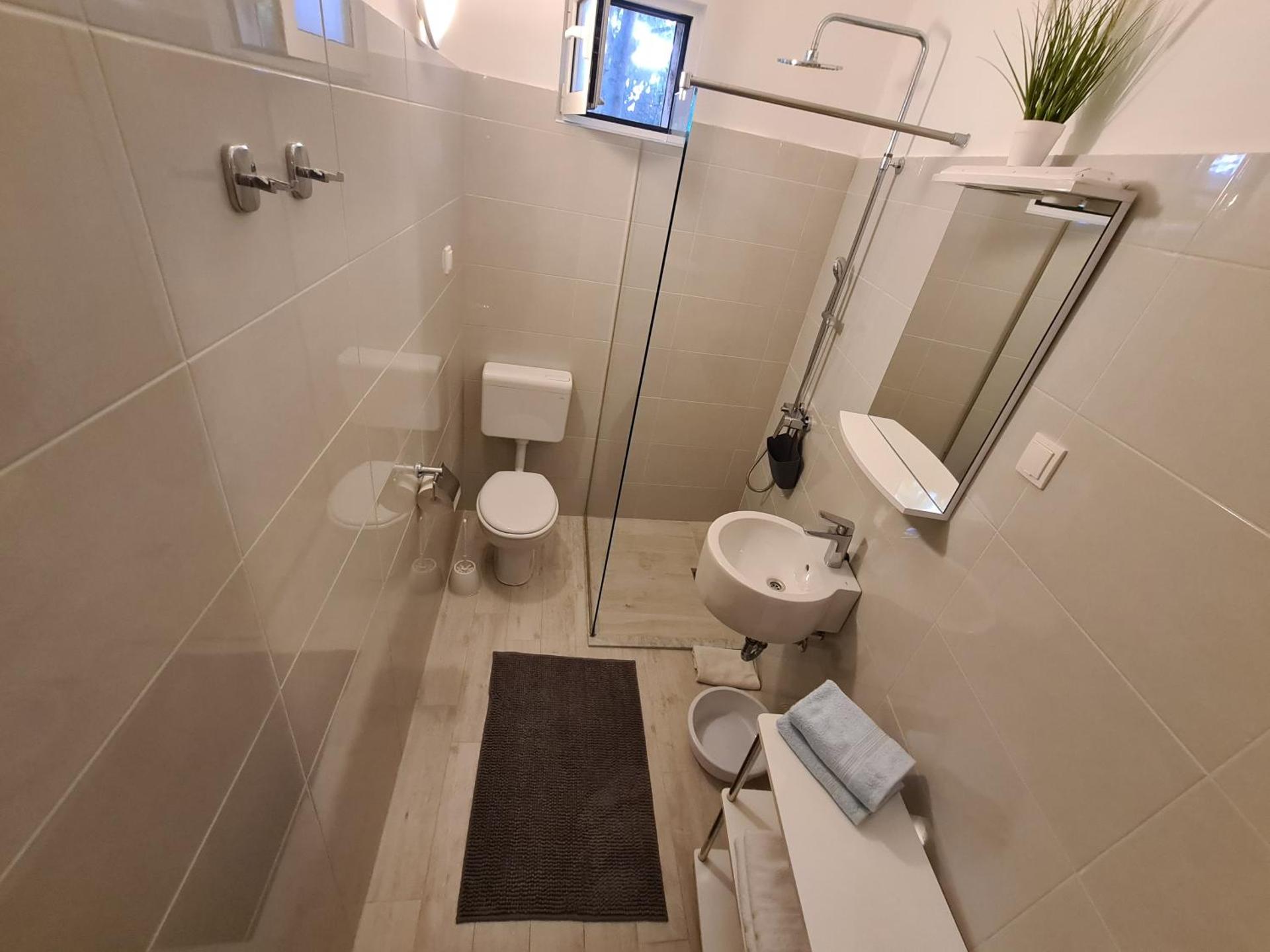 Apartments Srzic NO1