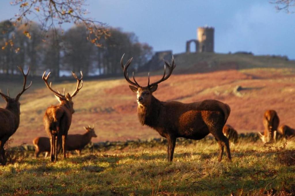 University Duplex • Sleeps 6