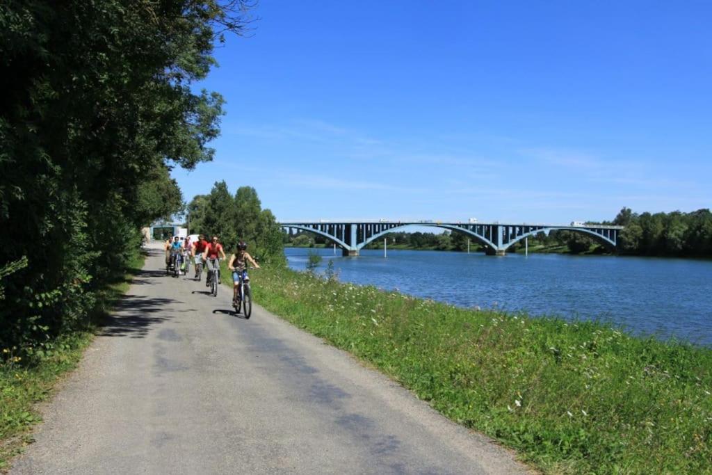 Tintin - Locationtournus