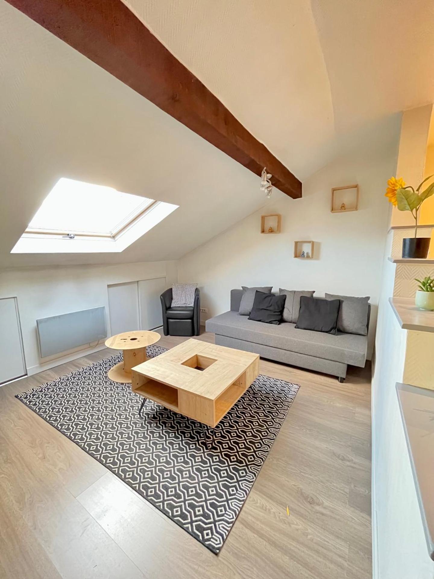 Pin's - Magnifique appartement