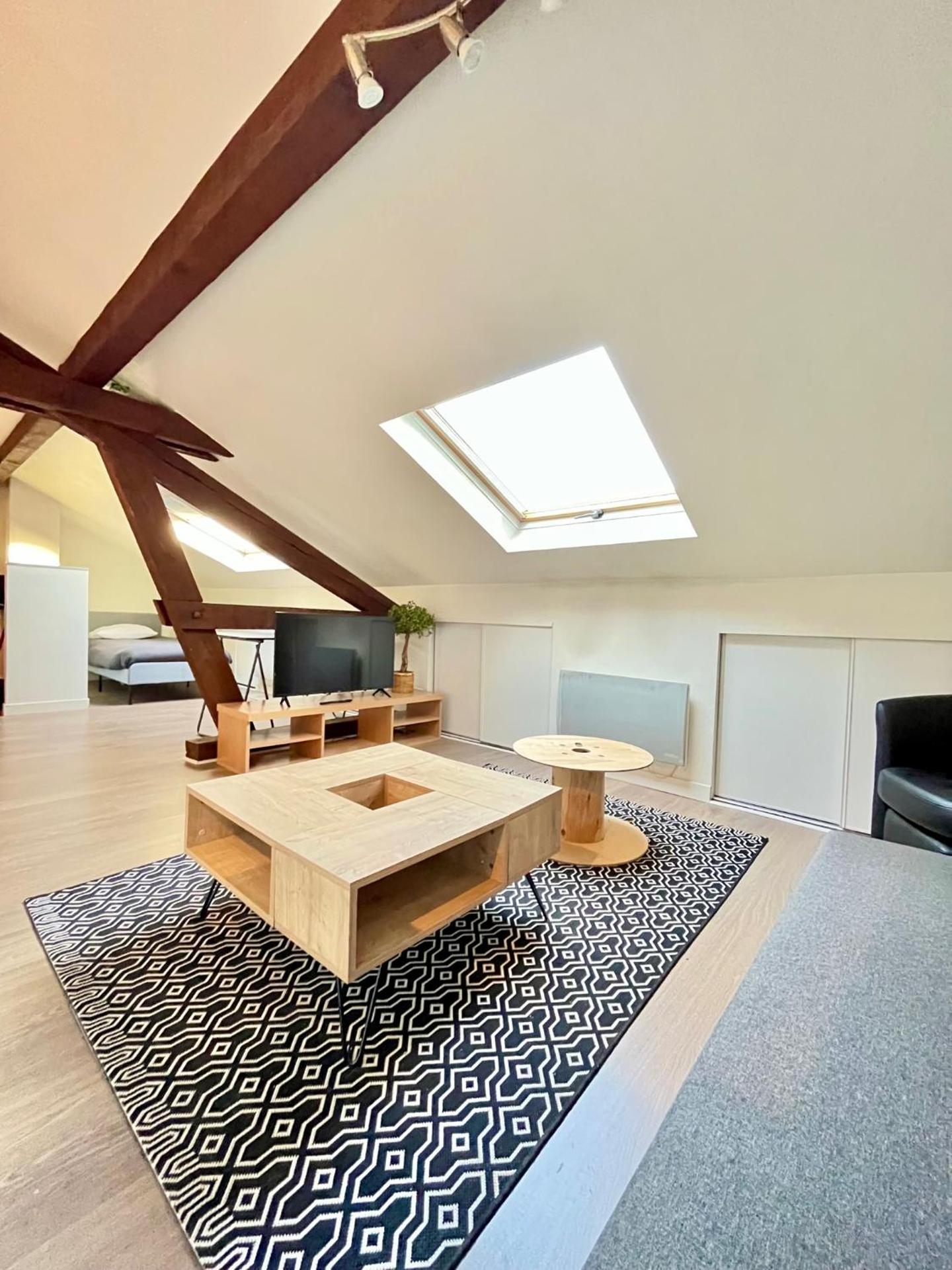 Pin's - Magnifique appartement