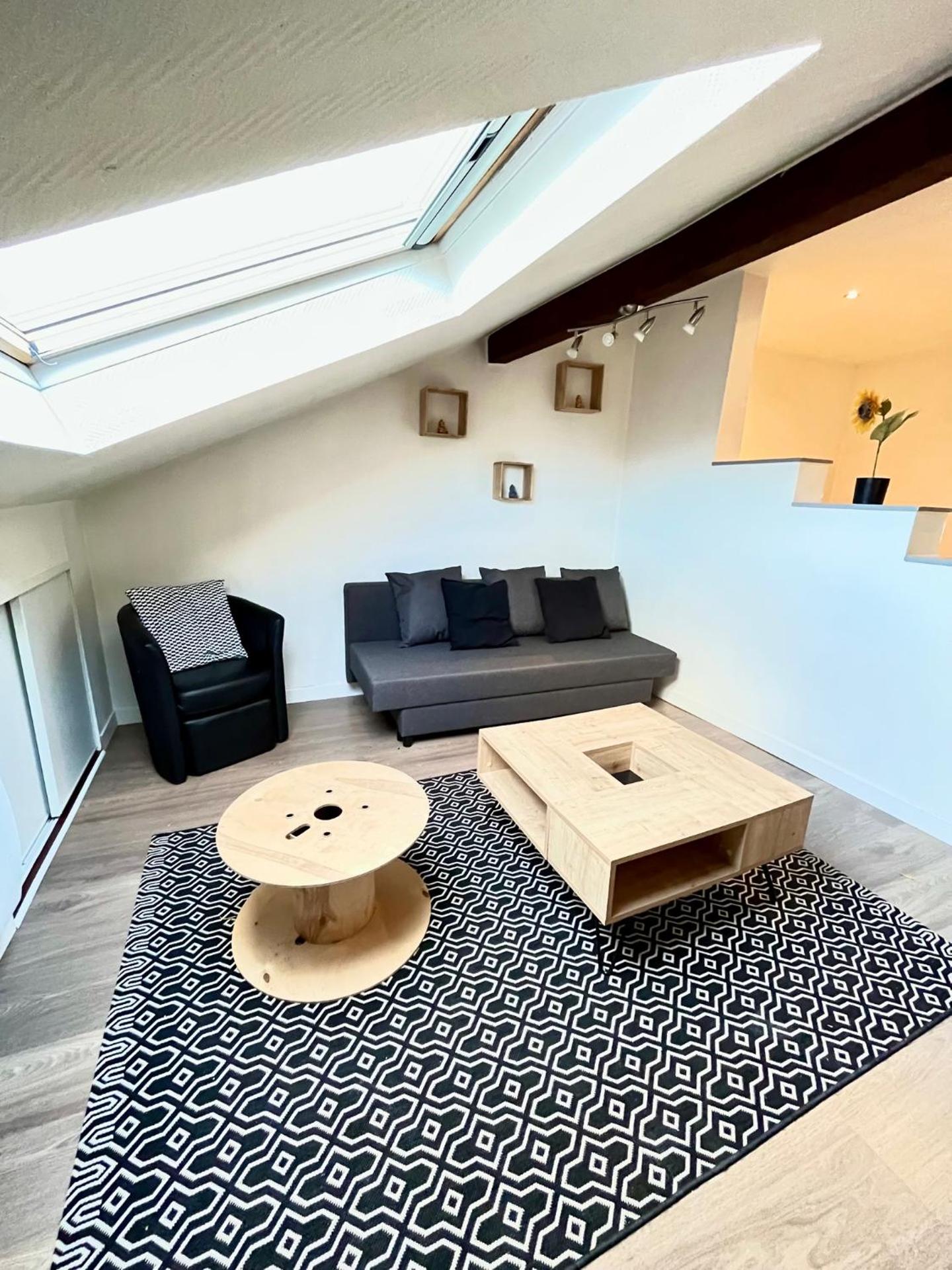 Pin's - Magnifique appartement