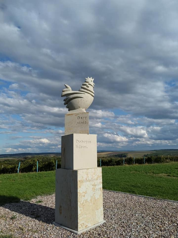 Vinoza - ubytování a vinný sklep Velké Bílovice Pod Vinicí