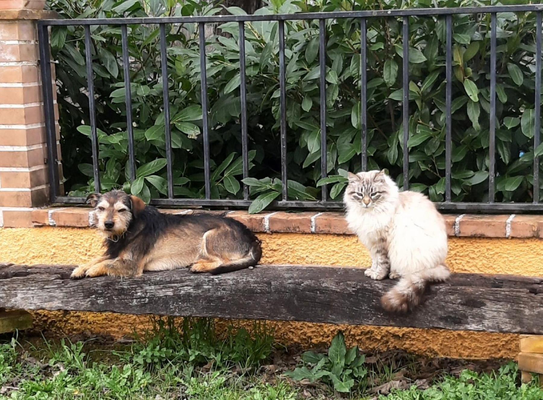 APPARTAMENTI DOLCETURISMO FONTECAIME...RELAX...