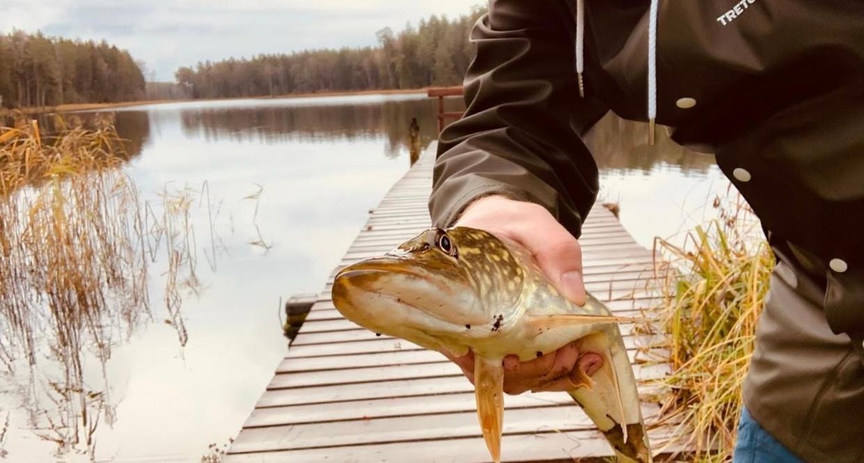 Leśniczówka Szeroki Bór