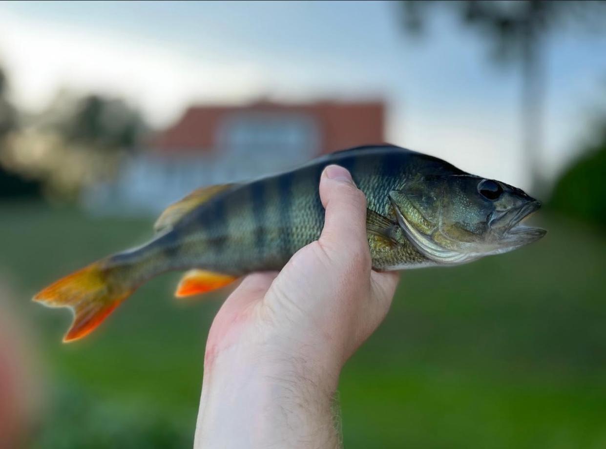 Leśniczówka Szeroki Bór