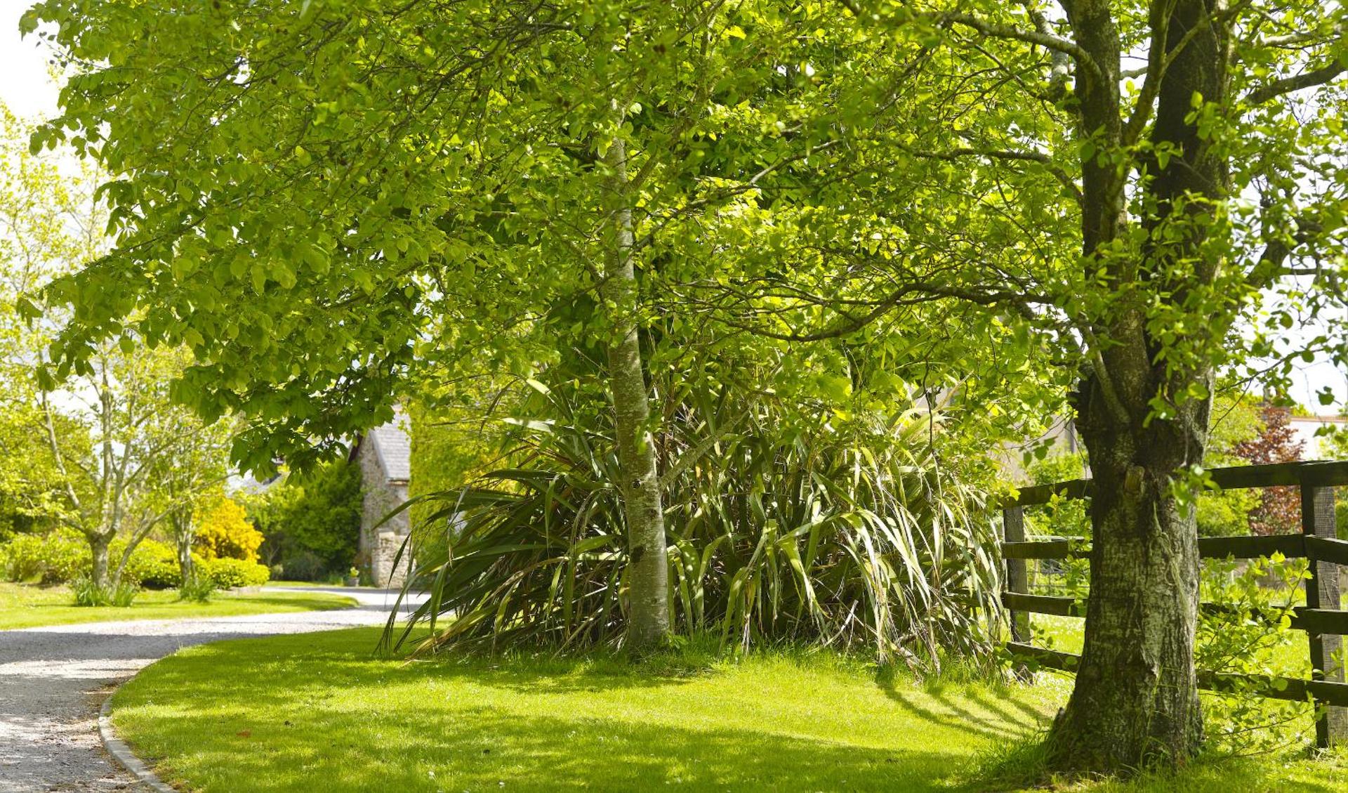Two-Bedroom House (4 Adults)